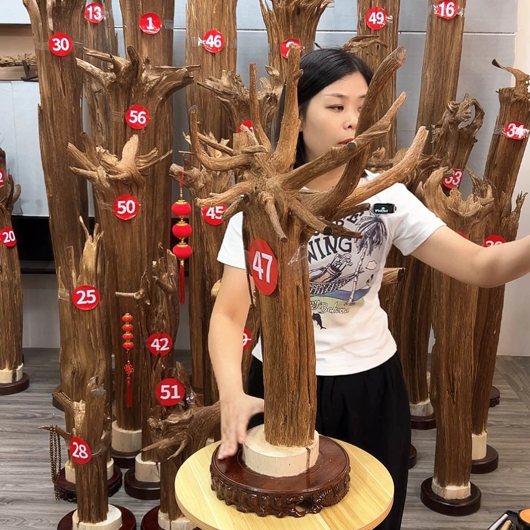 沉香沉香碎屑沉香