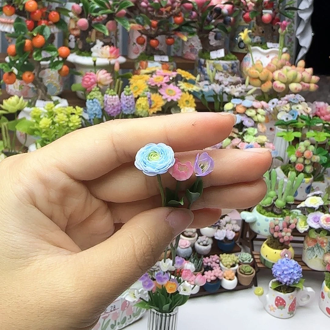 你好呀，专拍！！！！！！！