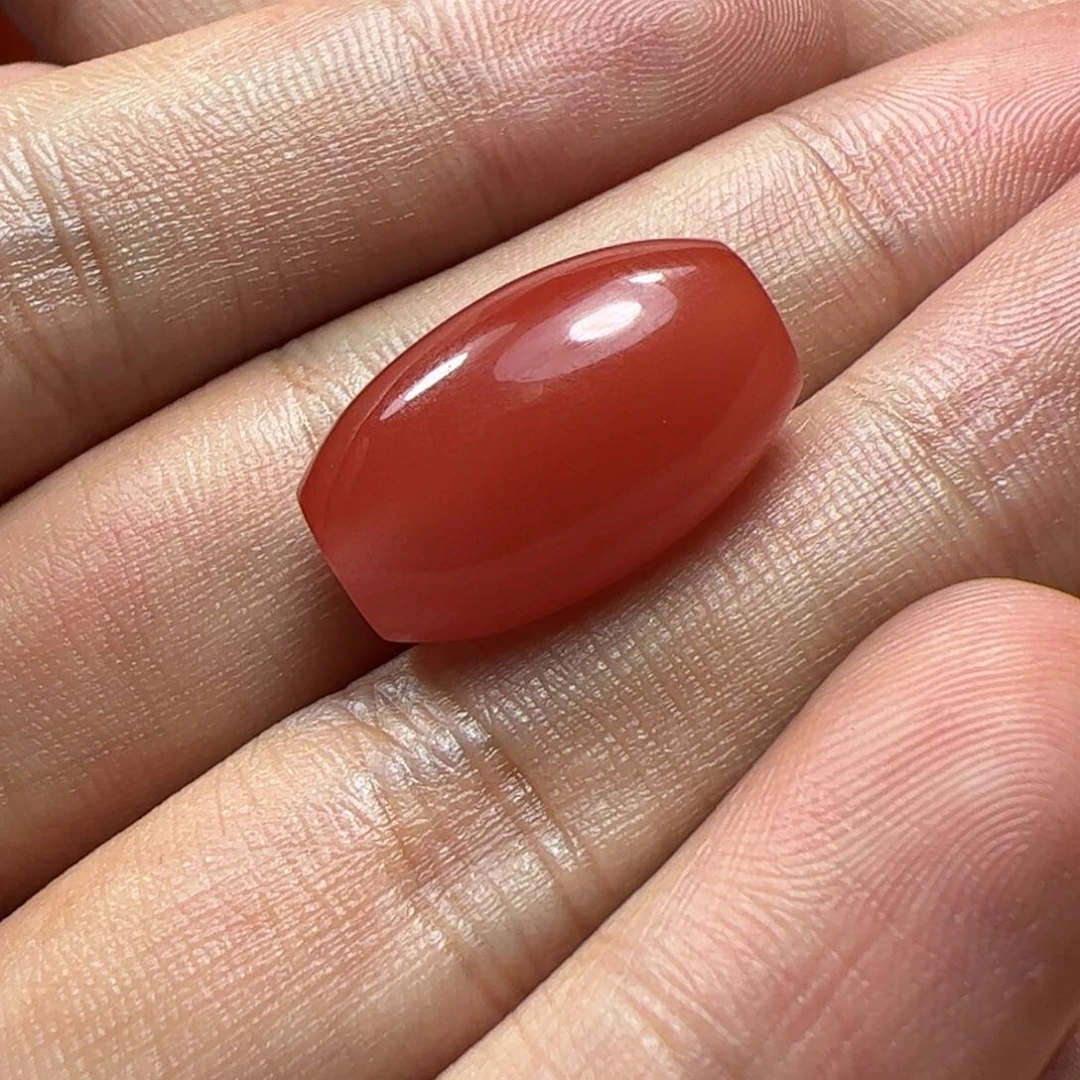未镶嵌珠子南红玛瑙会****狸