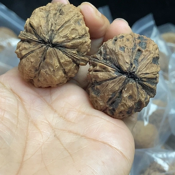 木质类云南铁核桃基地62