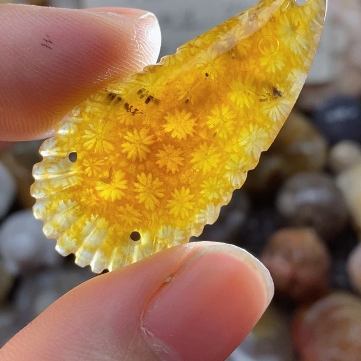 颈饰未镶嵌硅化珊瑚（珊瑚玉）小