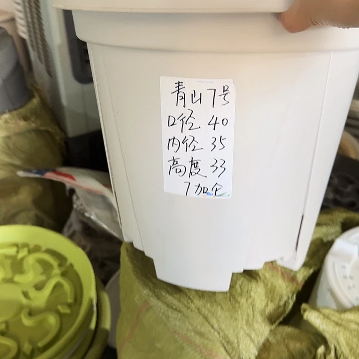 青山7#口径40灰白5个无托