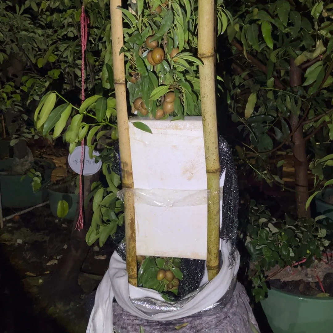 完全开放6666666666666666666666