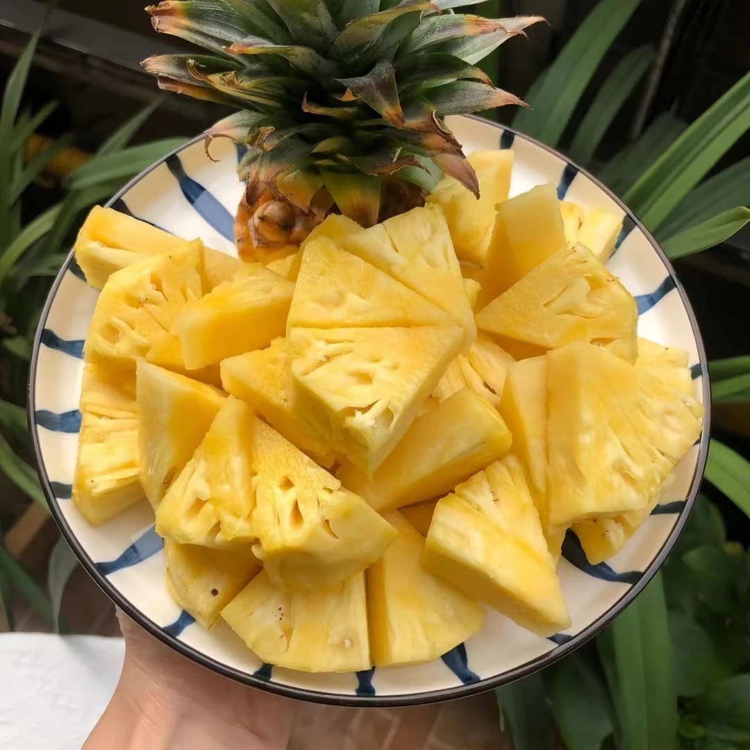 海南金钻凤梨彩箱礼盒装