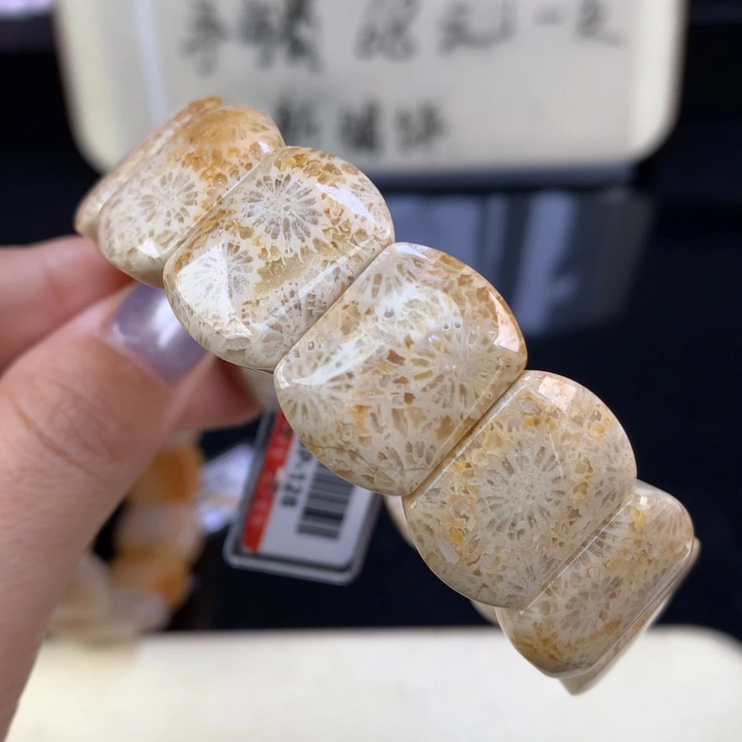 硅化珊瑚（珊瑚玉）未镶嵌吊坠(赠链)精美五折手牌（41号）