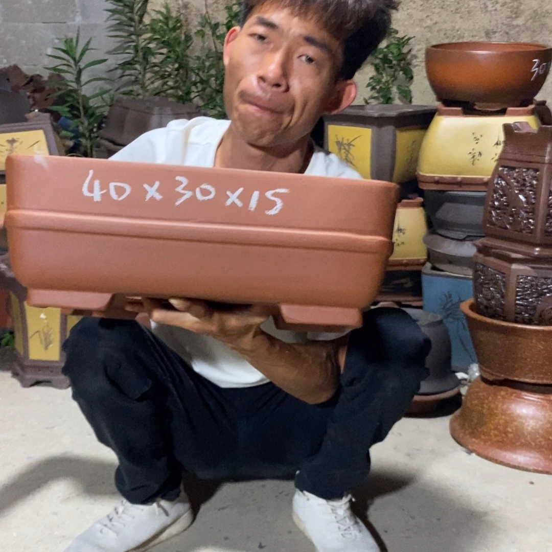 紫砂花盆紫砂紫砂紫砂紫砂