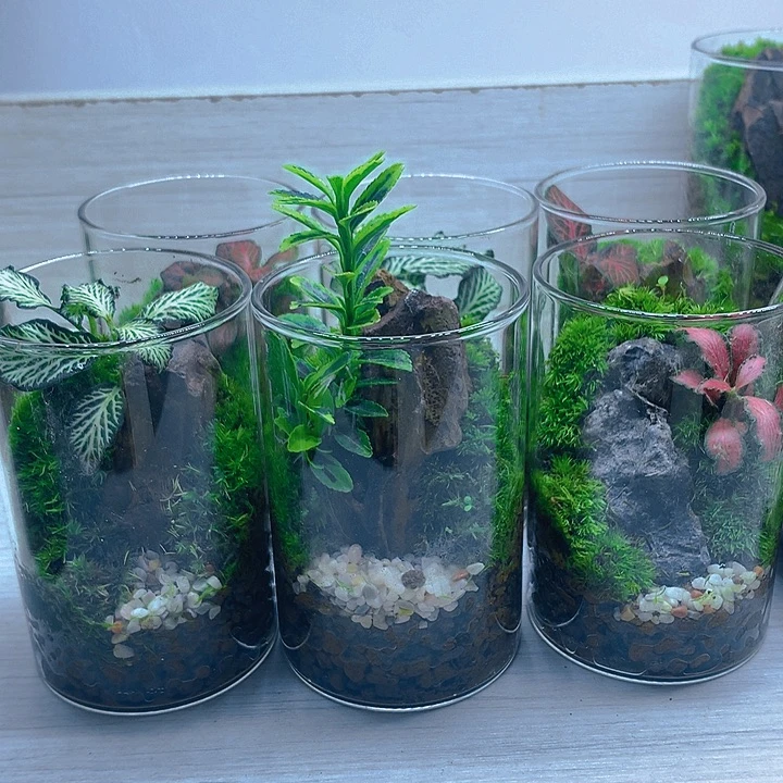 无花朵静心瓶随机款