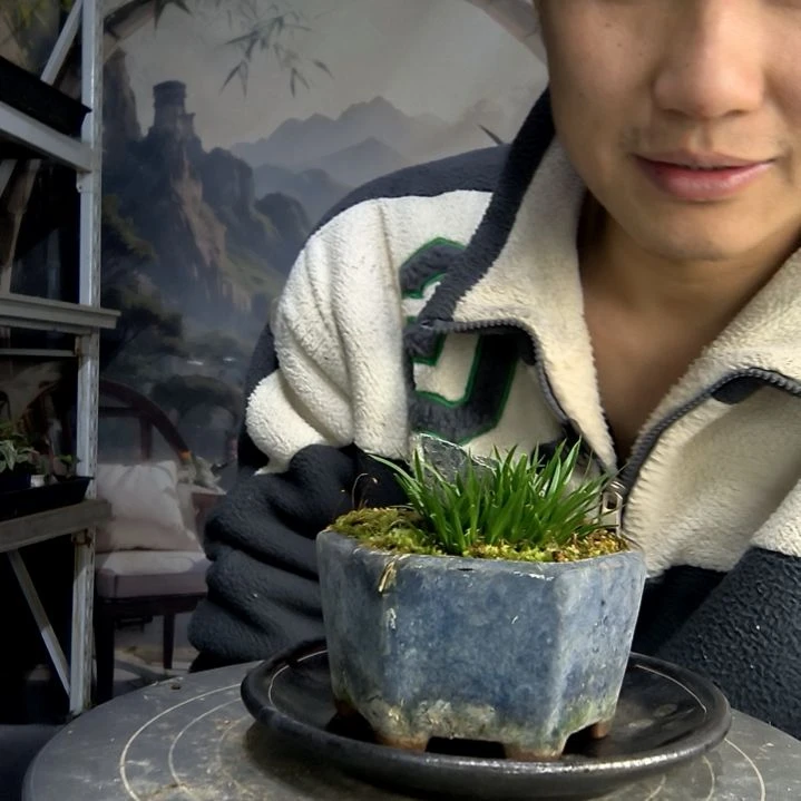 滴***滴中青园艺一物一拍花174