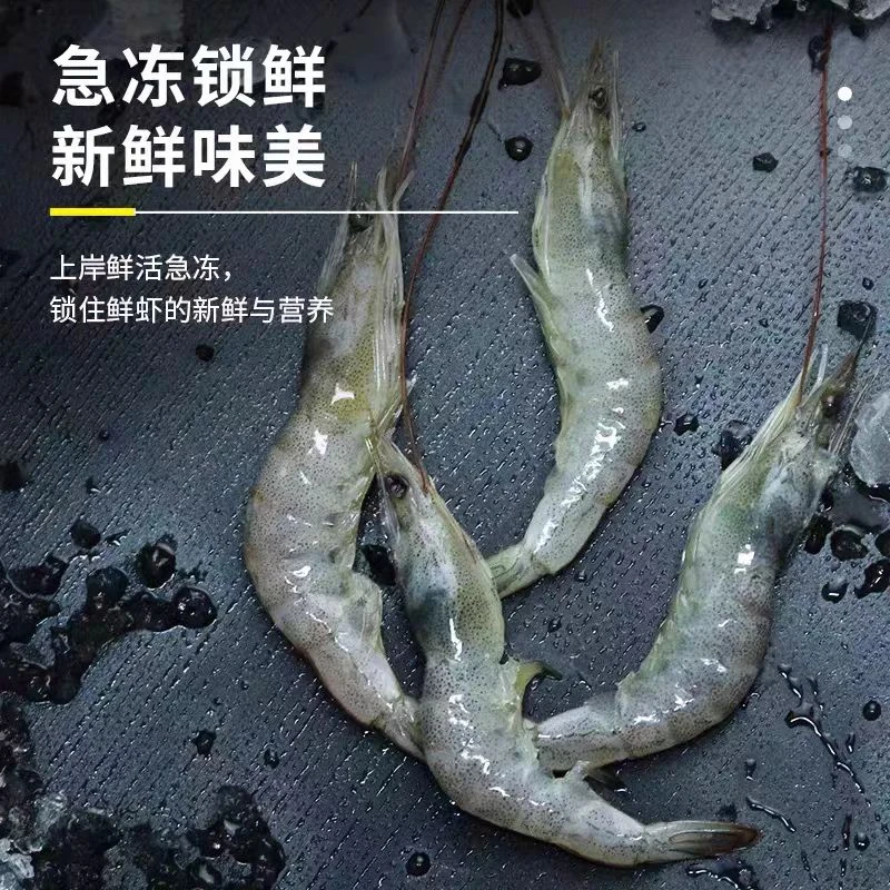 【海白虾】新鲜野生海捕小白虾 白虾每包250/克速冻发货