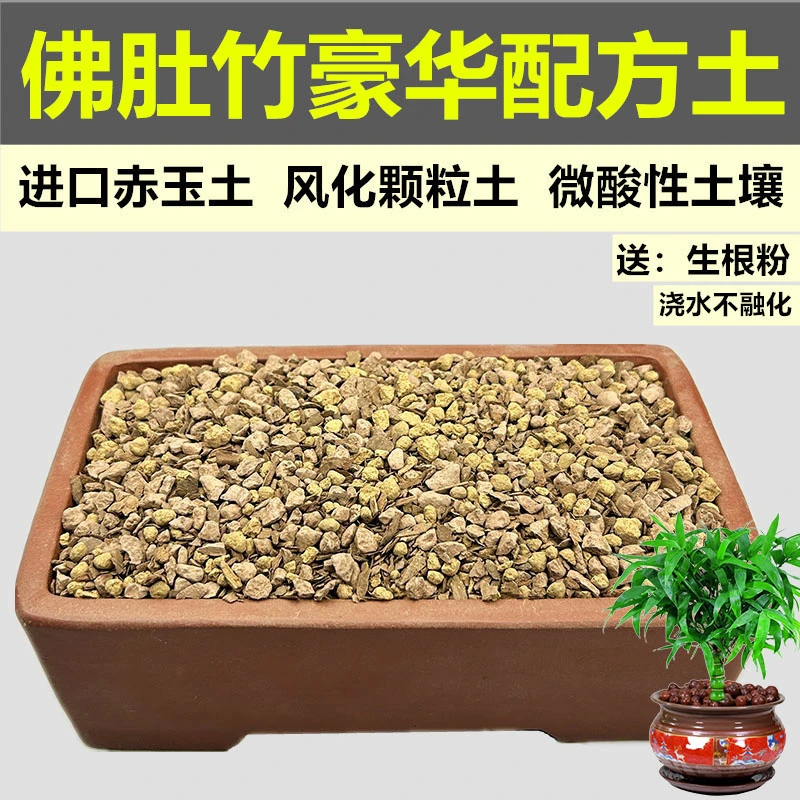 佛肚竹专用土盆栽盆景赤玉土风化土营养颗粒土酸性红沙土种植土