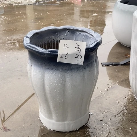 低腰花口渐变灰南瓜中 口26/34