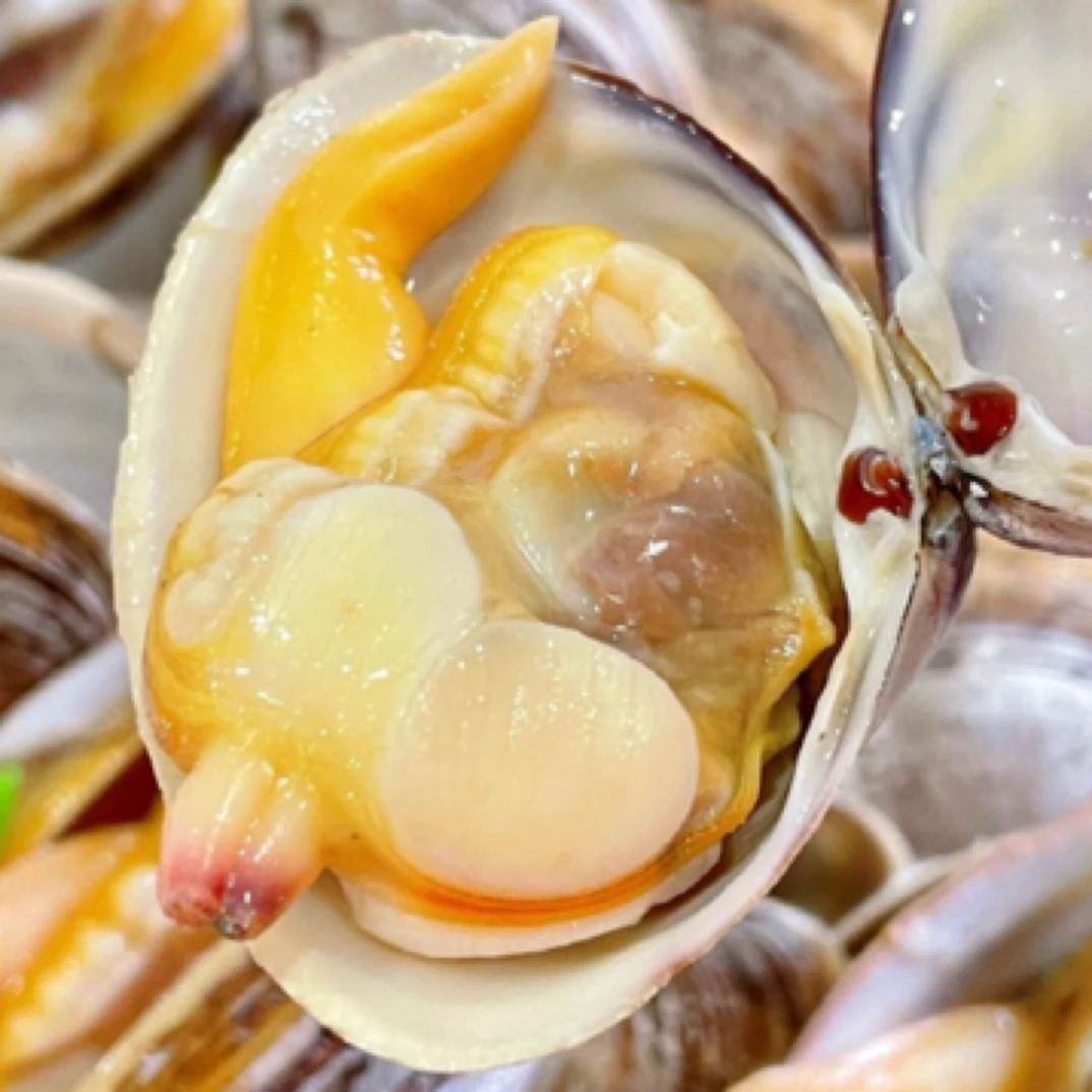 乳山黄蚬子巨肥1斤装