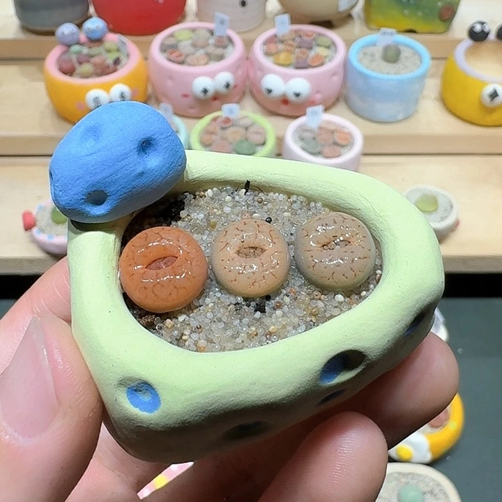 红陶蘑菇682富贵