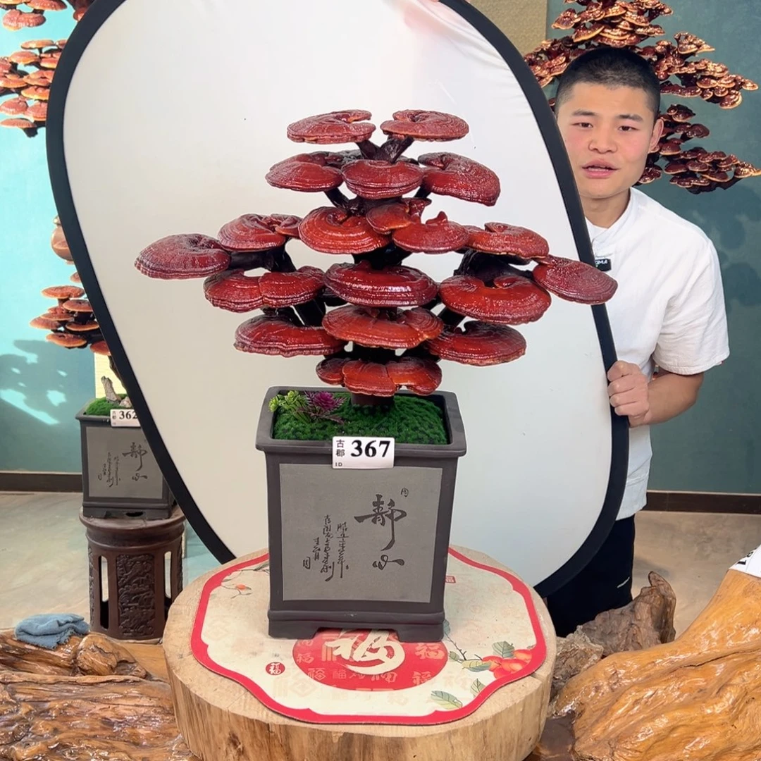 无花朵88888888889