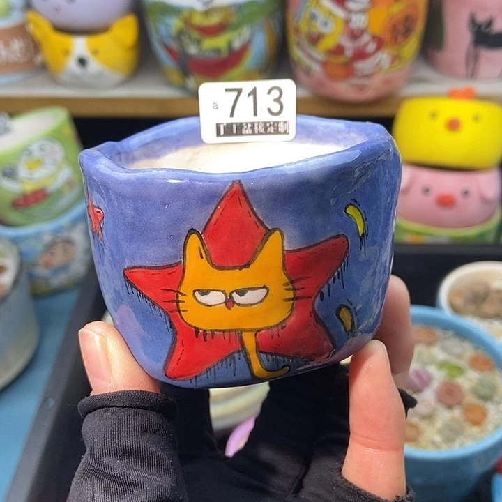 大舅生石花肉锥多肉713