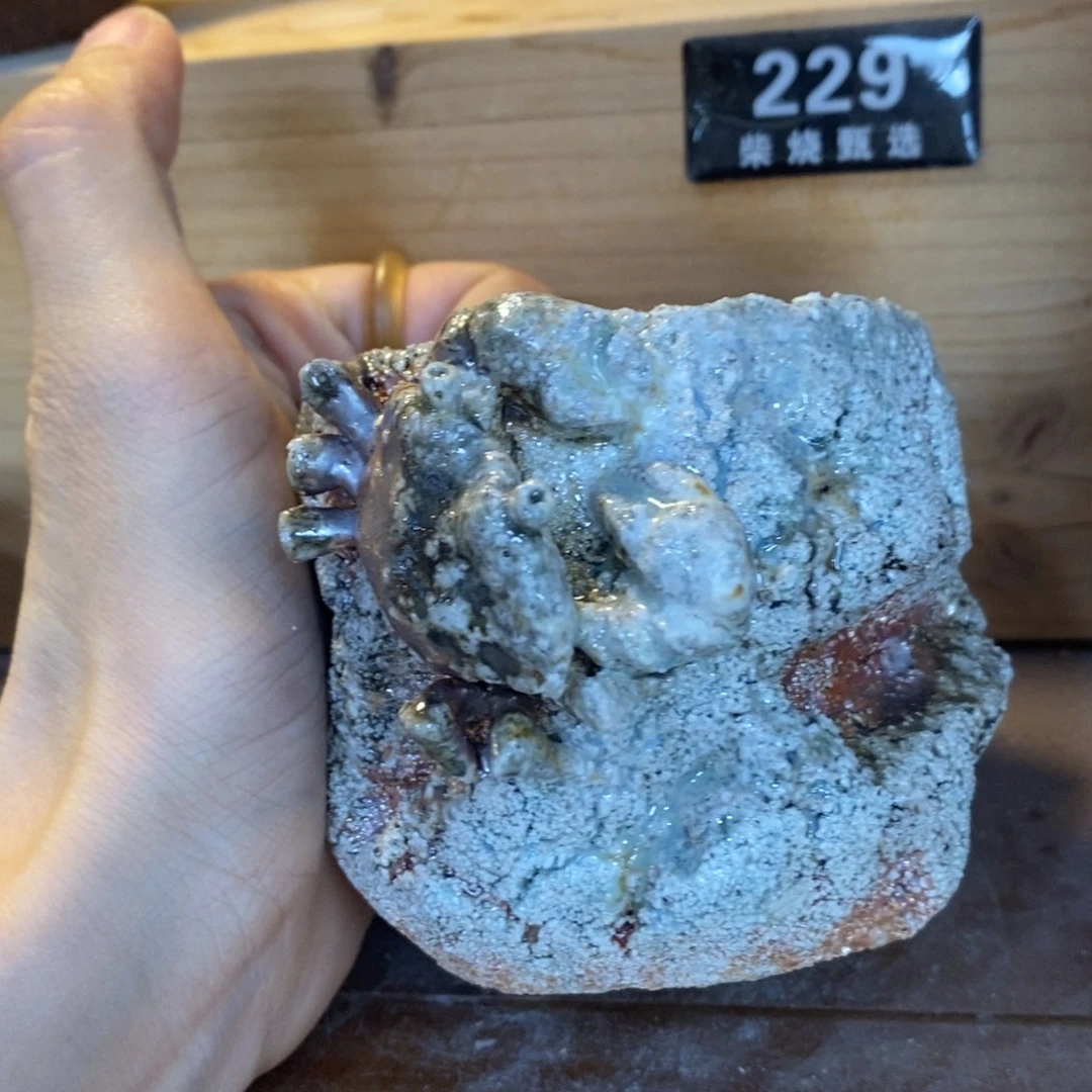 陶园柴烧 精品高货223