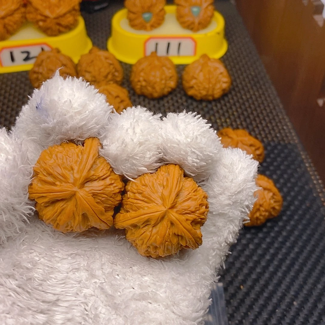核桃猴*文玩核桃青皮树上班了吗丁啉