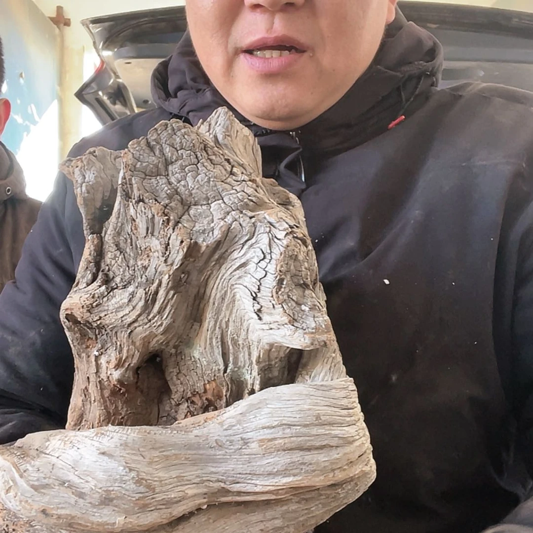 【闪购商品】柏木大*啊啊啊啊啊啊啊