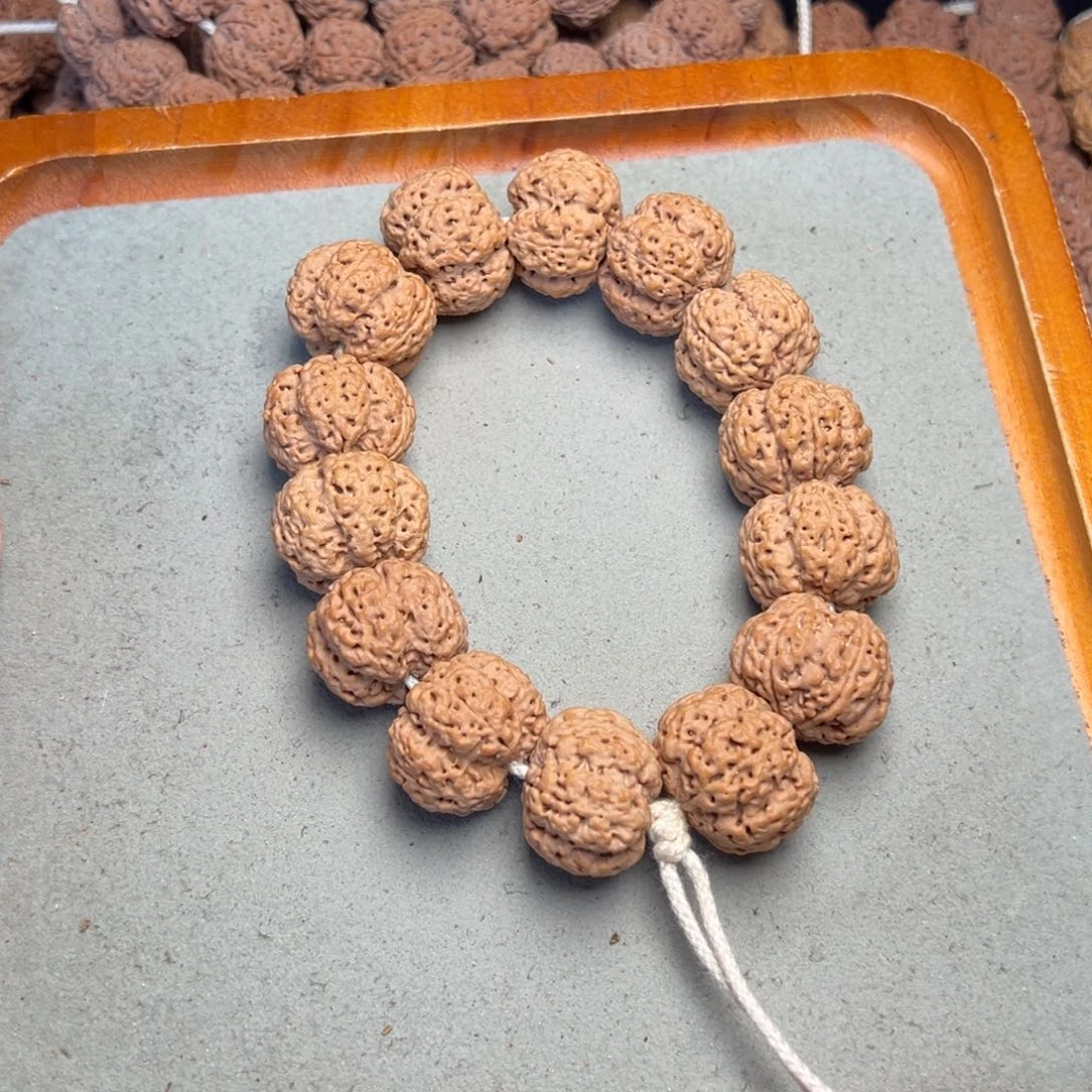 菩提19号金刚菩提梁焖墩梅花24定制