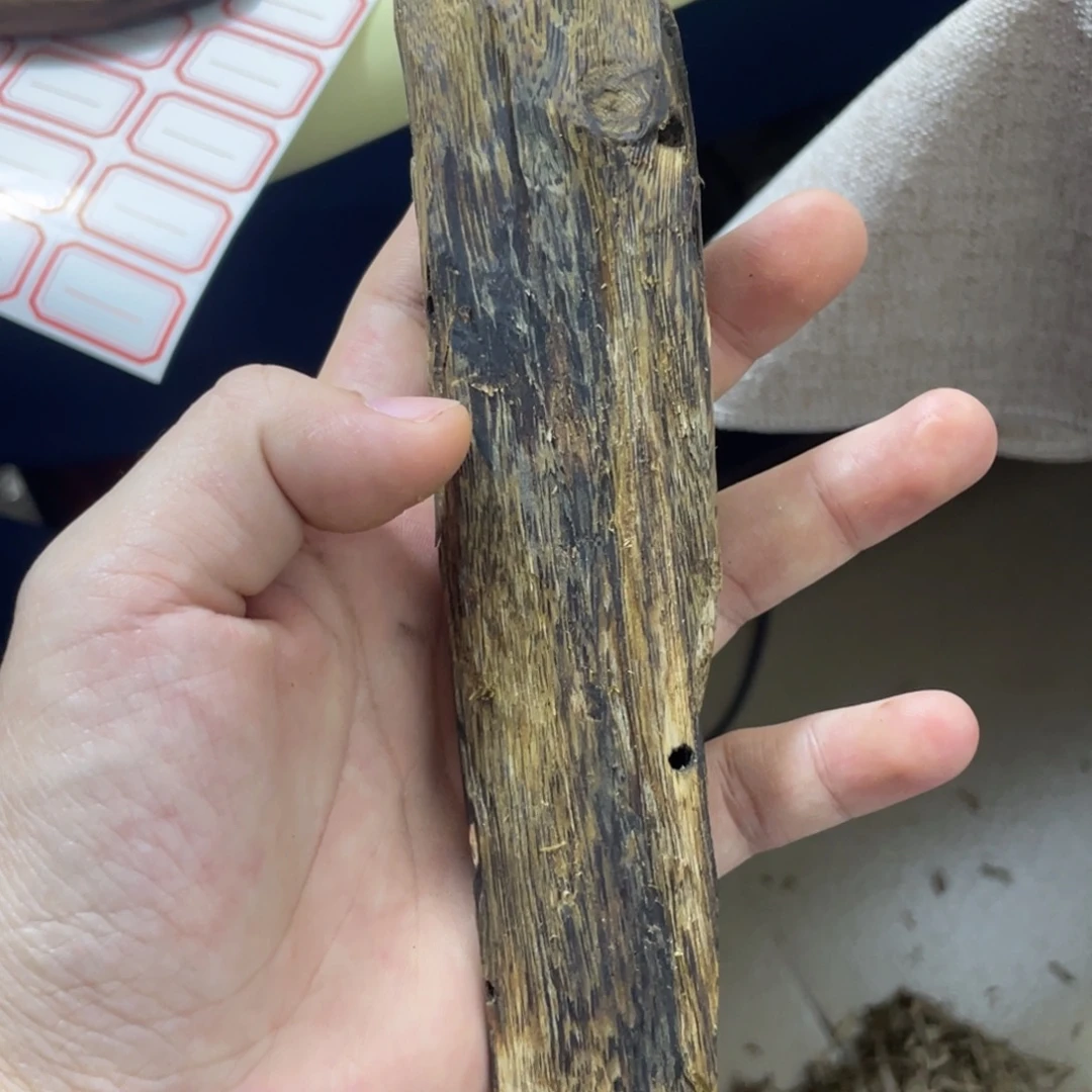 用***4熏香奇楠沉香多样性发1