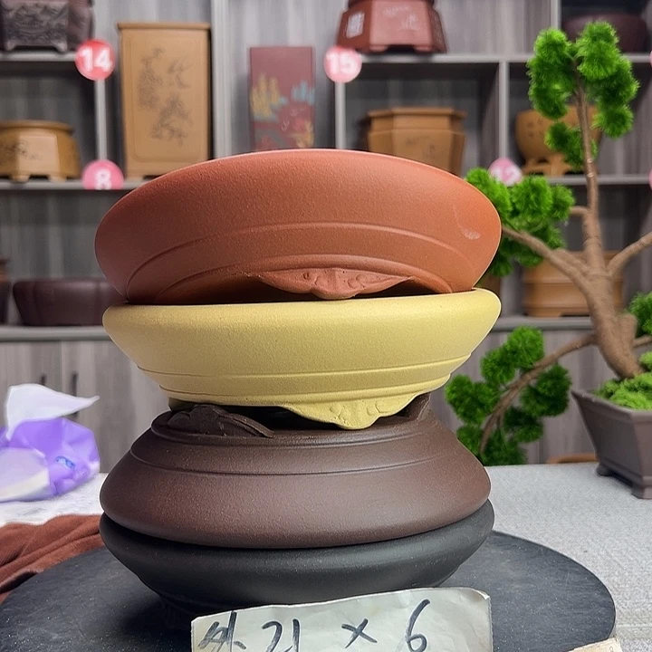 花盆紫砂紫砂花开