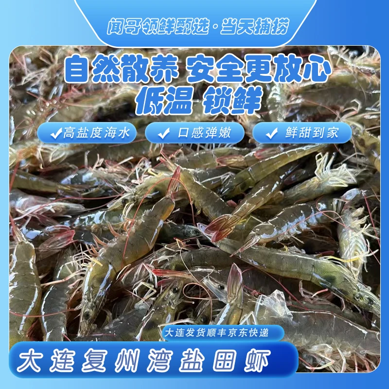 大连复州湾盐田虾净重750g，35-45头/斤，正宗保证！每日捕捞保鲜不保活次日达（大小不均，介意勿拍！！！）