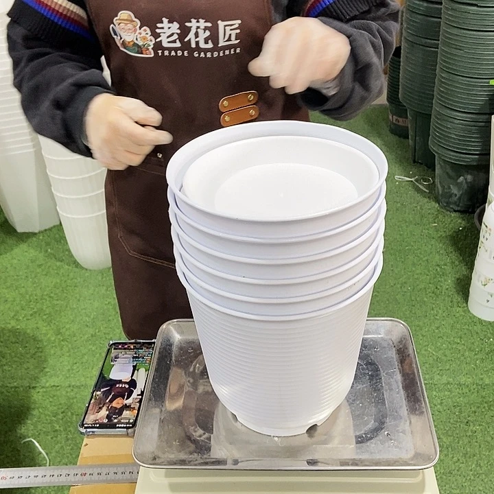 高淘口21高21白色带拖6只