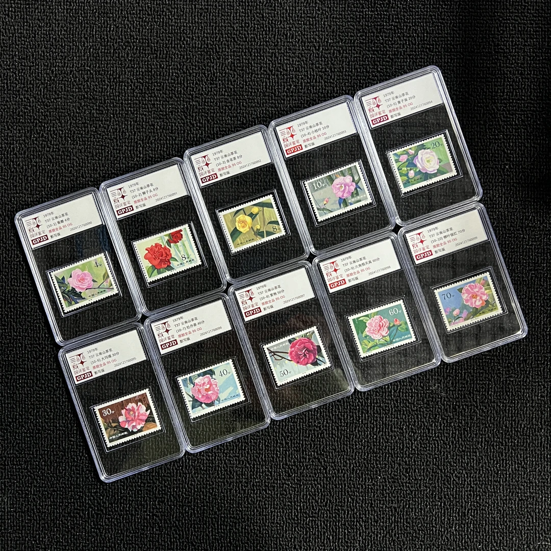 T37 山茶花 邮票 原胶全品 95OG 小盒