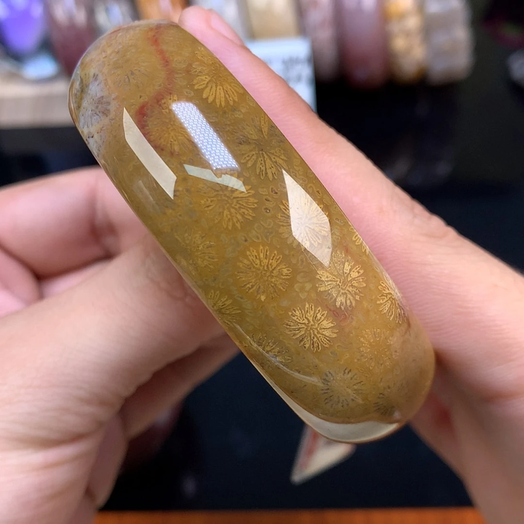 【闪购商品】颈饰未镶嵌硅化珊瑚（珊瑚玉）40号60.8圈金皮花