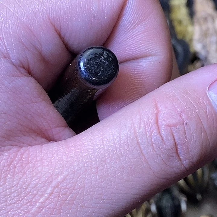 加***林藏传文玩凑单福利