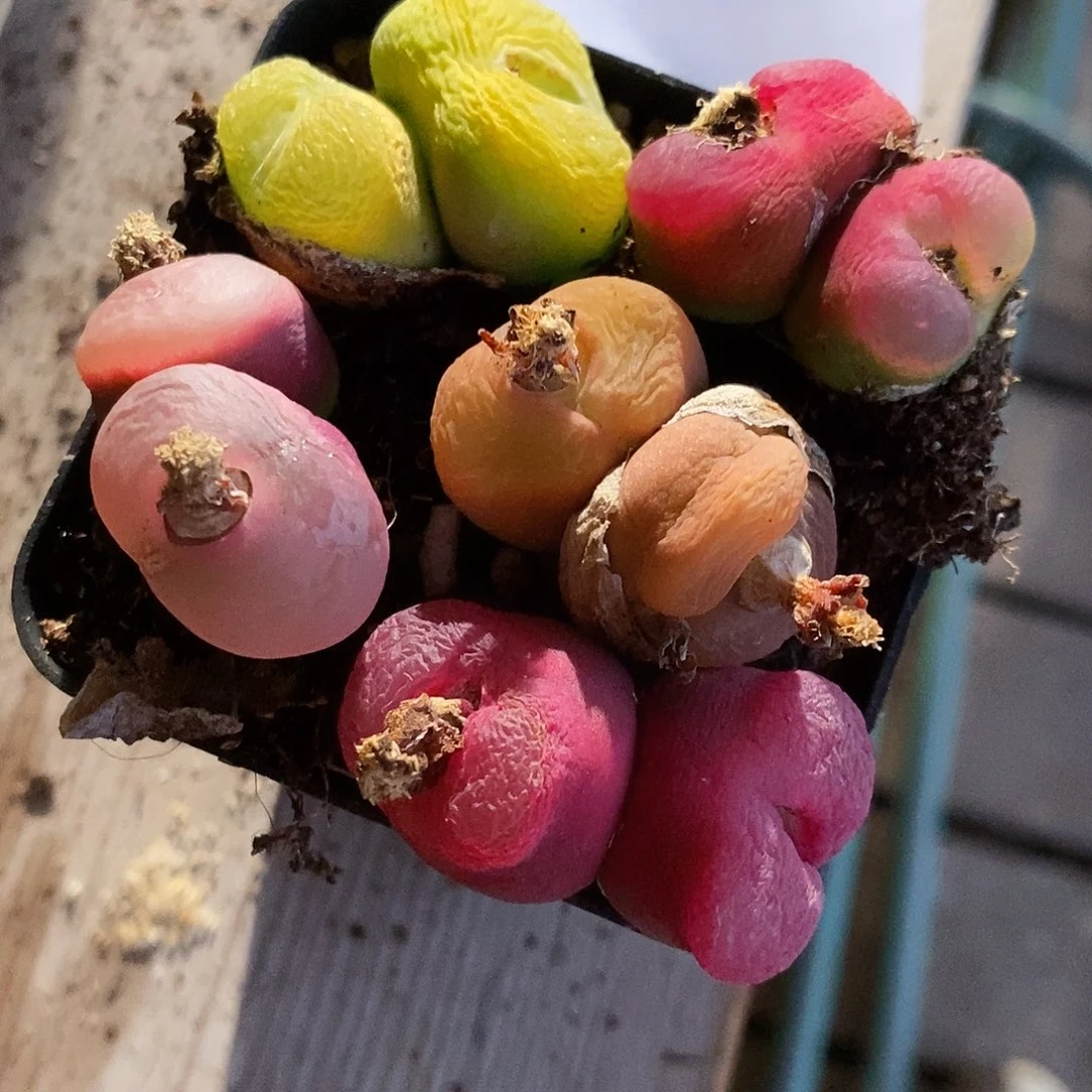 25343。  一组。一组。