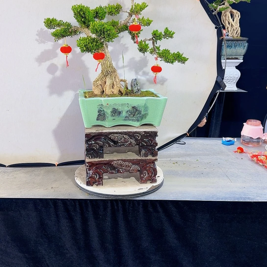 高端盆景艺术作品