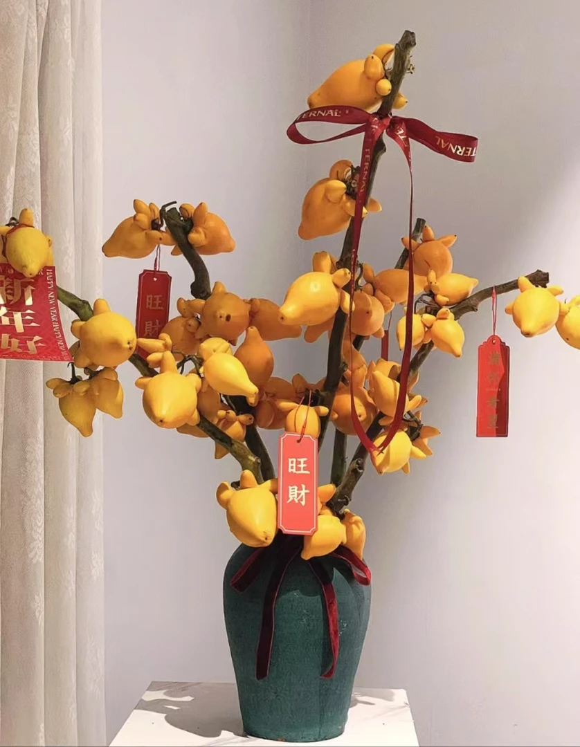 【本来一物】五代果也称金玉满堂黄金果可做手工DIY室内装饰摆件