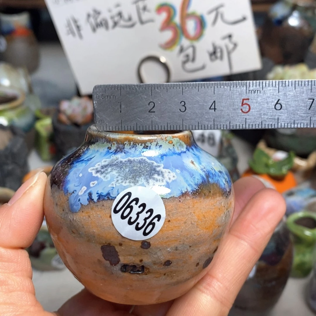 拍5送一个小礼物花盆