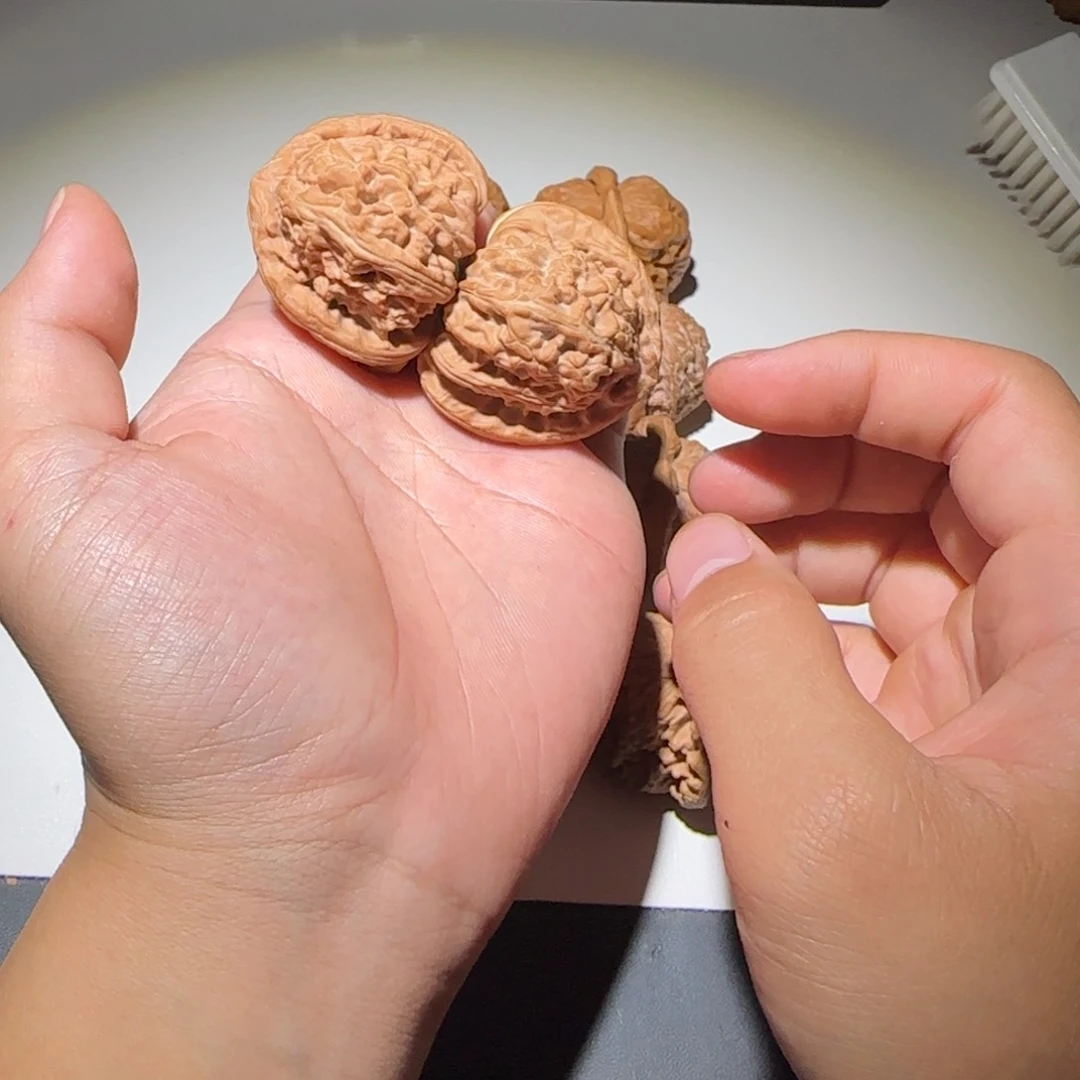 哈哈哈哈哈哈哈哈哈哈