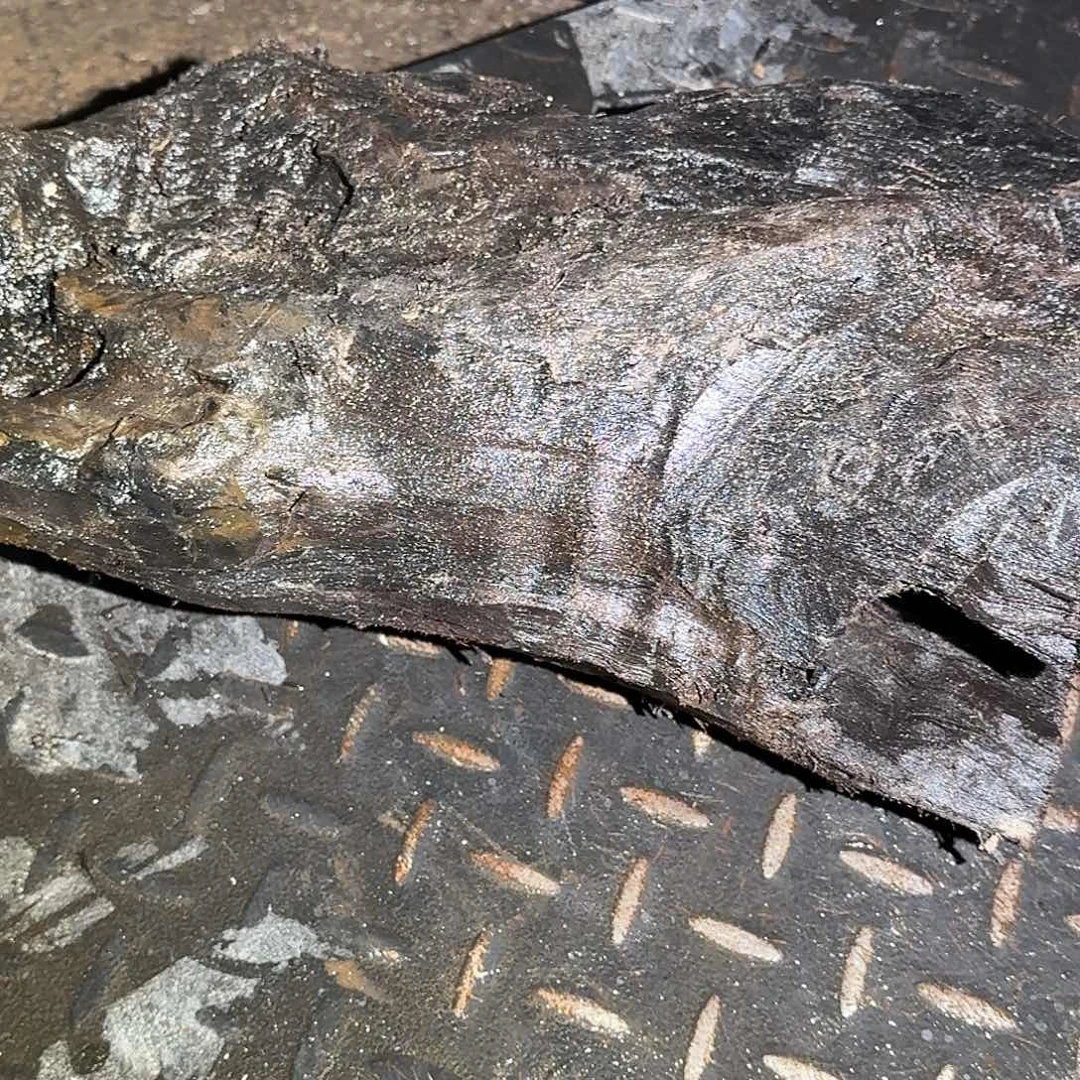 `***光乌木等资源的开发利用和