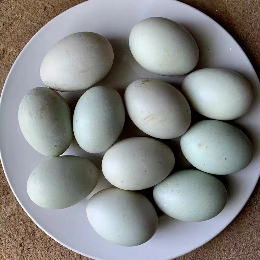 【生态散养】新鲜鸭蛋30枚70克左右