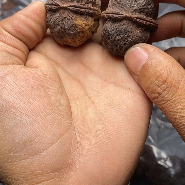 文玩核桃把件  138