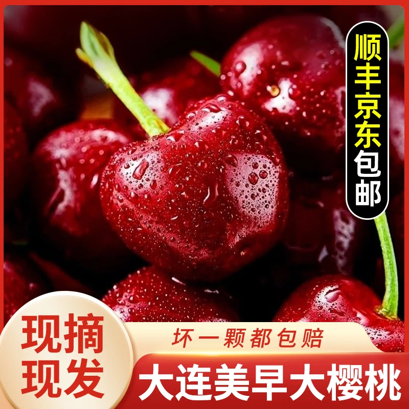S3【顺丰/京东】空运大连美早樱桃现摘现发J-6J&2/3/5斤 内附果径卡