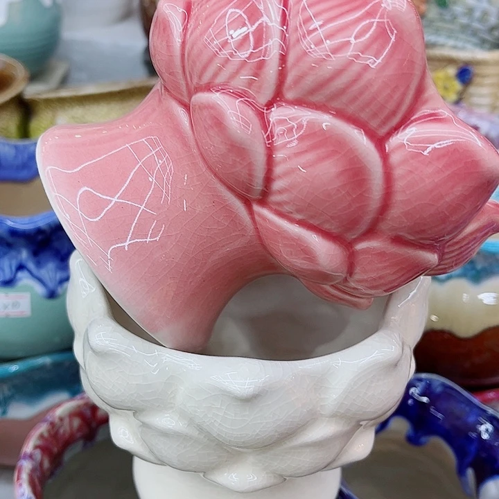 多肉植物陶瓷花盆