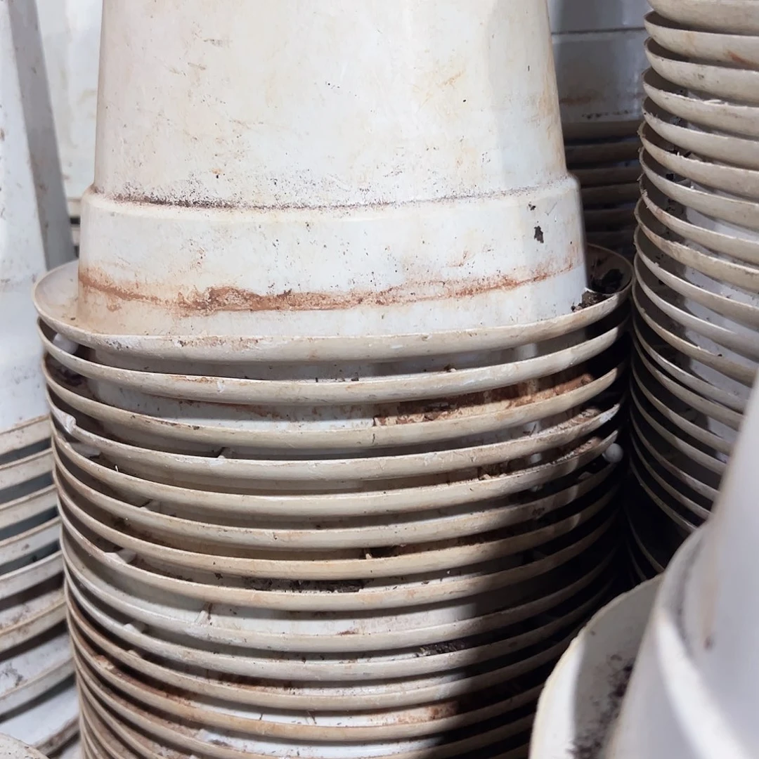 高端白圆盆20口径15高 15个