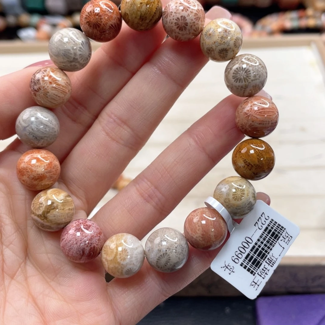 硅化珊瑚（珊瑚玉）手链未镶嵌S****g398