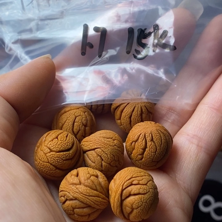 手串文玩核桃秦岭野生龙纹桃核17