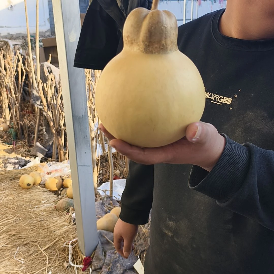 葫芦娃救爷爷一个一个的