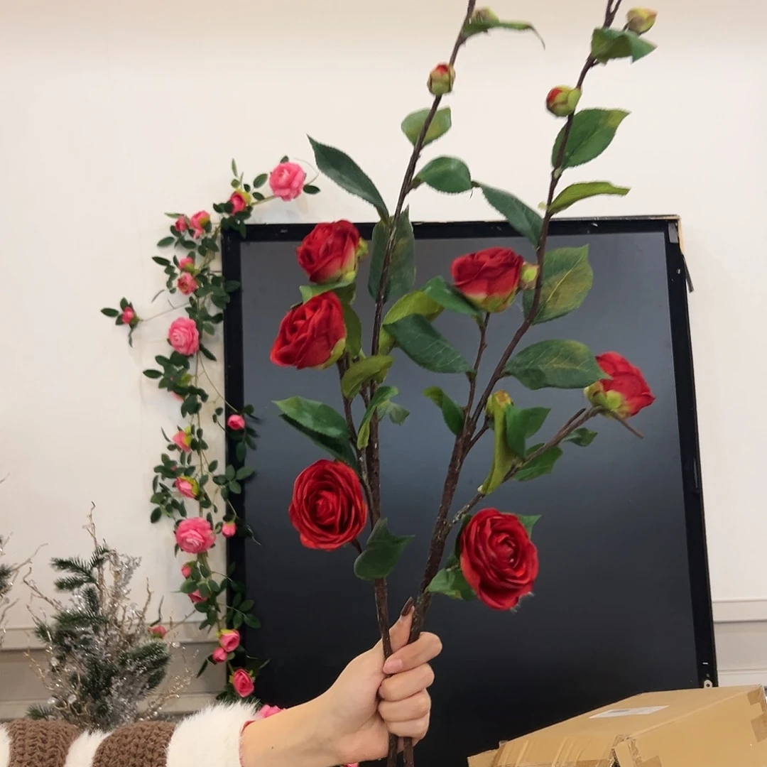 抖音直播间拍样品2只