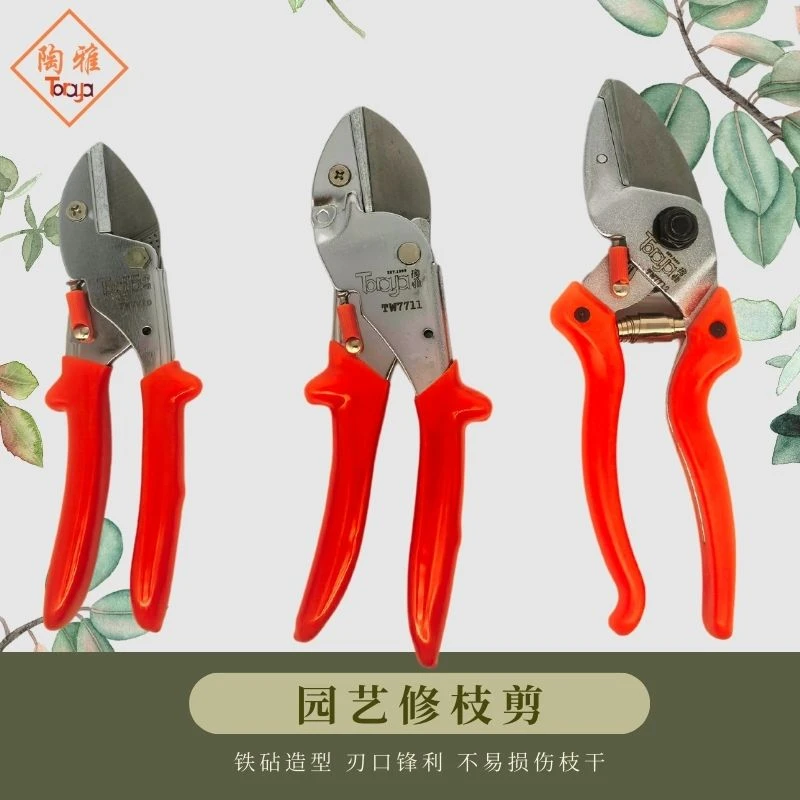 陶雅TW修枝剪园林铁砧剪强力果园葡萄阳光玫瑰藤蔓剪冬剪不累手商品图