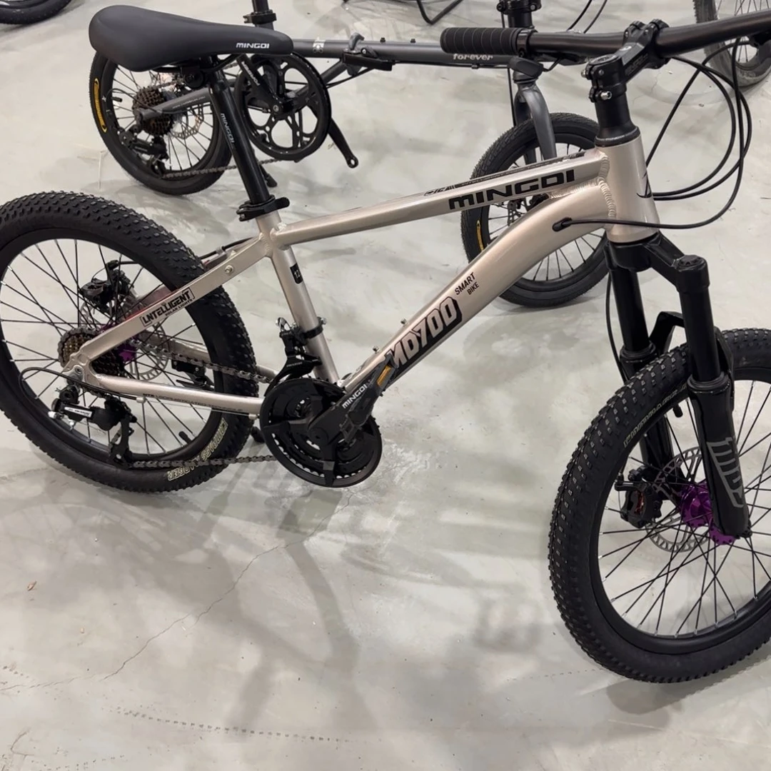 壹***一童车21速灰色20寸