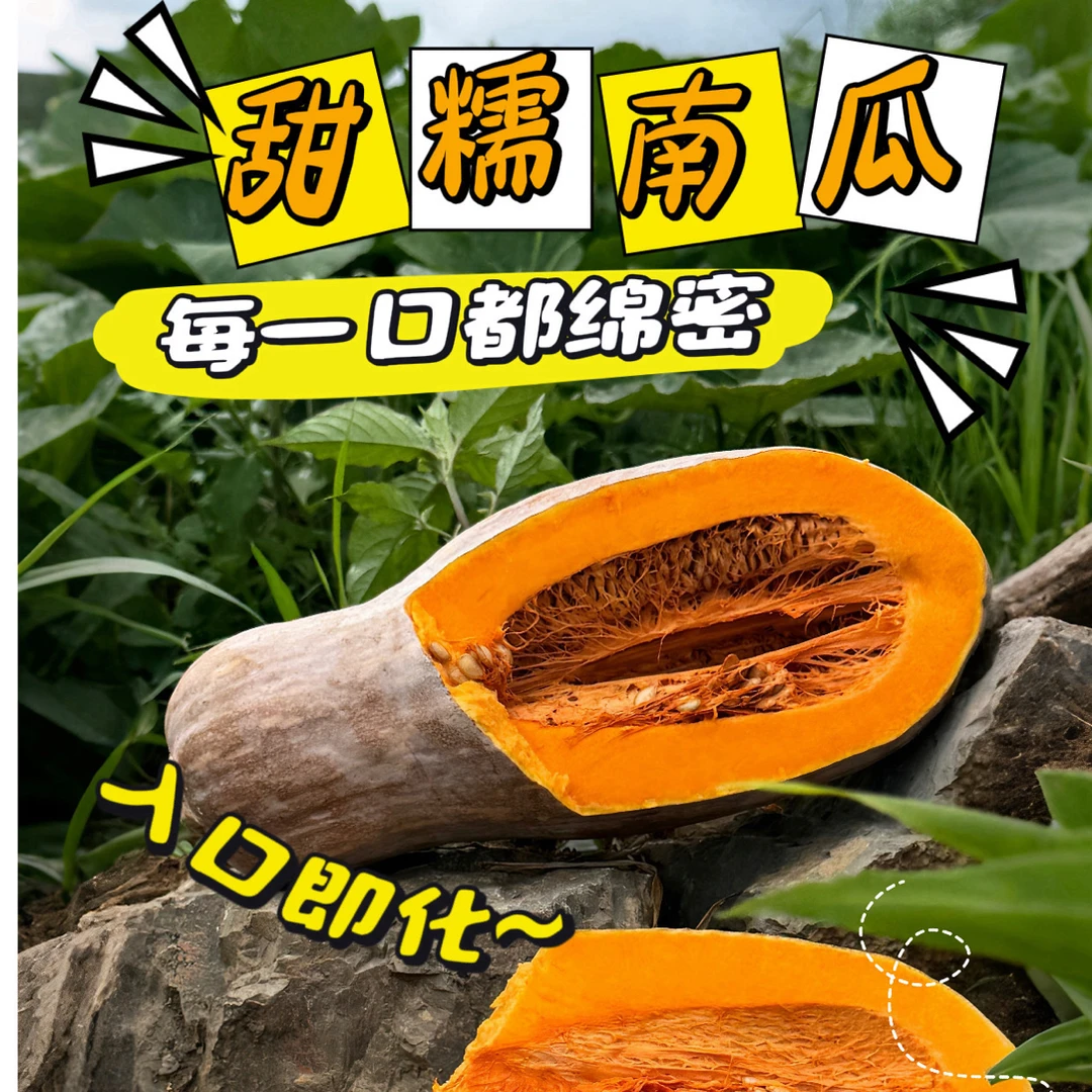 [张主任补贴]云南新鲜蜜本老南瓜当季蔬菜甜糯可口可作宝宝辅食