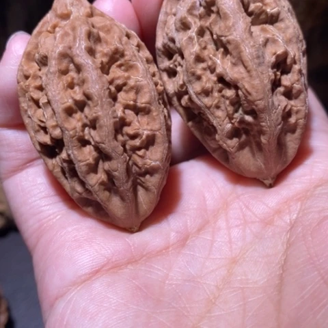 把件文玩核桃东北野生楸子小园 180