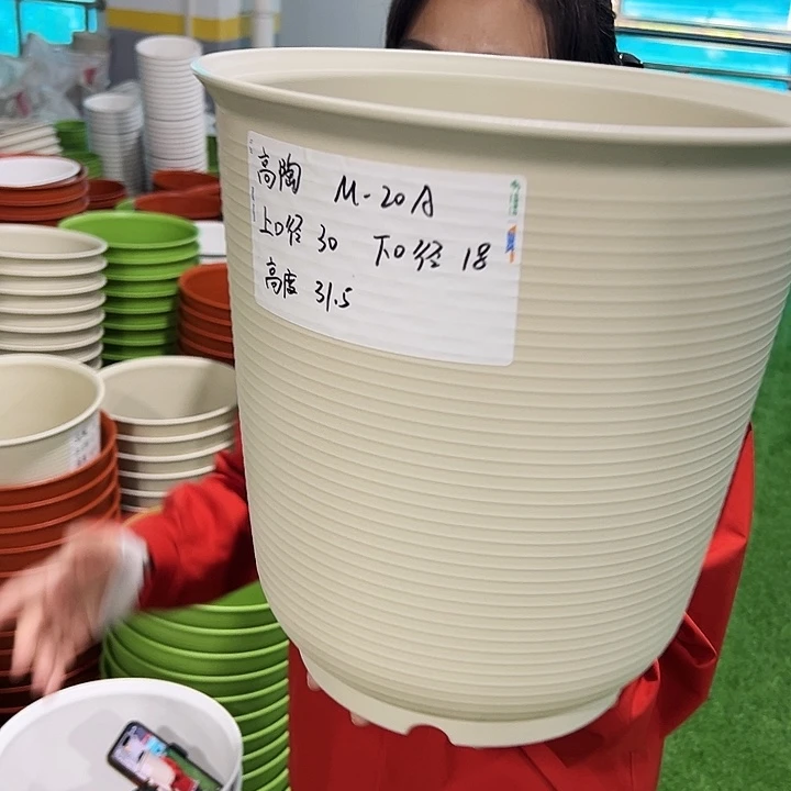 正品高陶口30高31米色无托3只